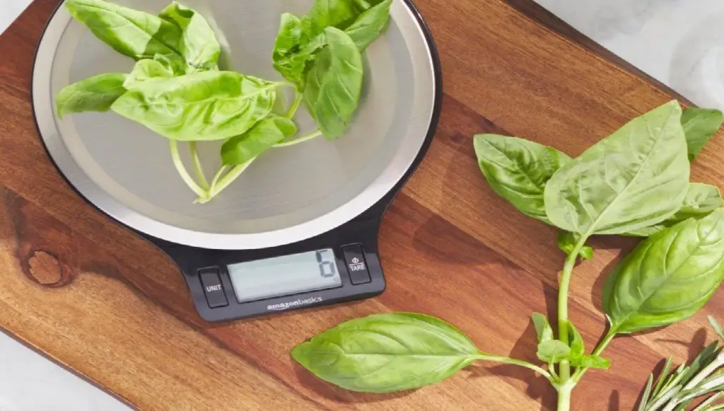AmazonBasics Digital Kitchen Scale | Best Food Scale