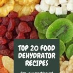 food-dehydrator-recipes