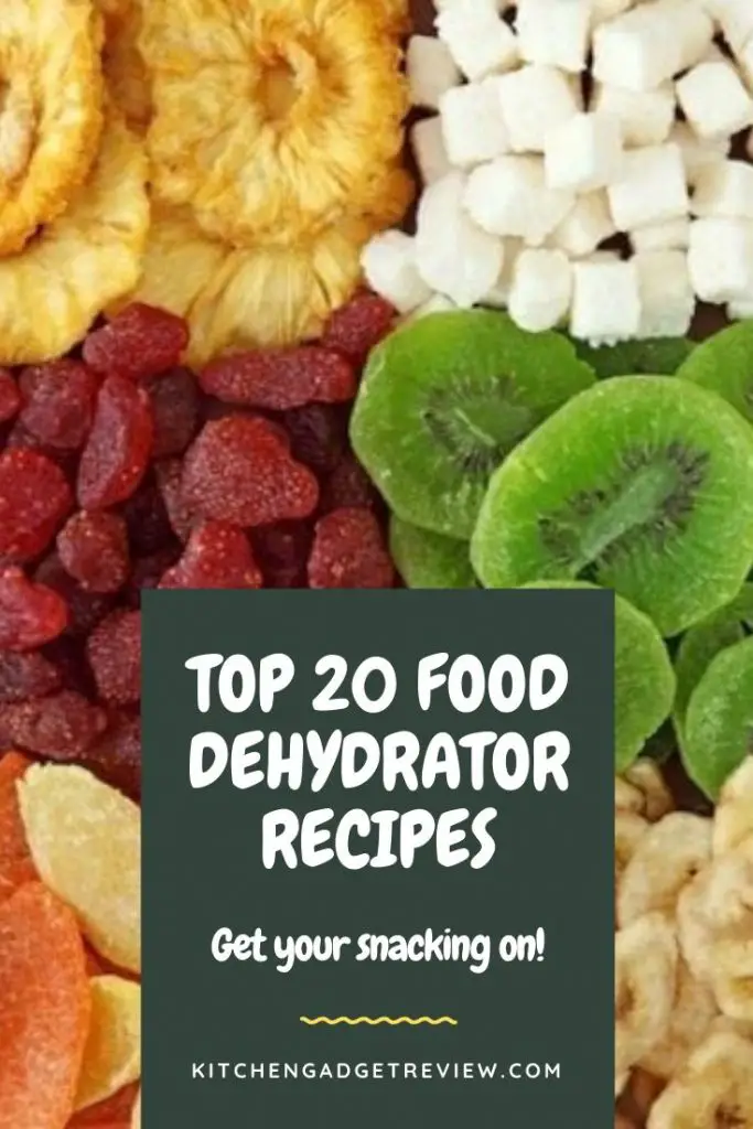food-dehydrator-recipes