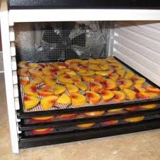 How-to-Dry-Fruit-in-a-Dehydrator