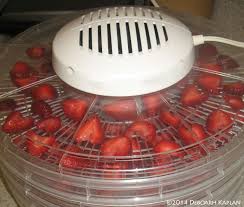 How-to-Dry-Fruit-in-a-Dehydrator