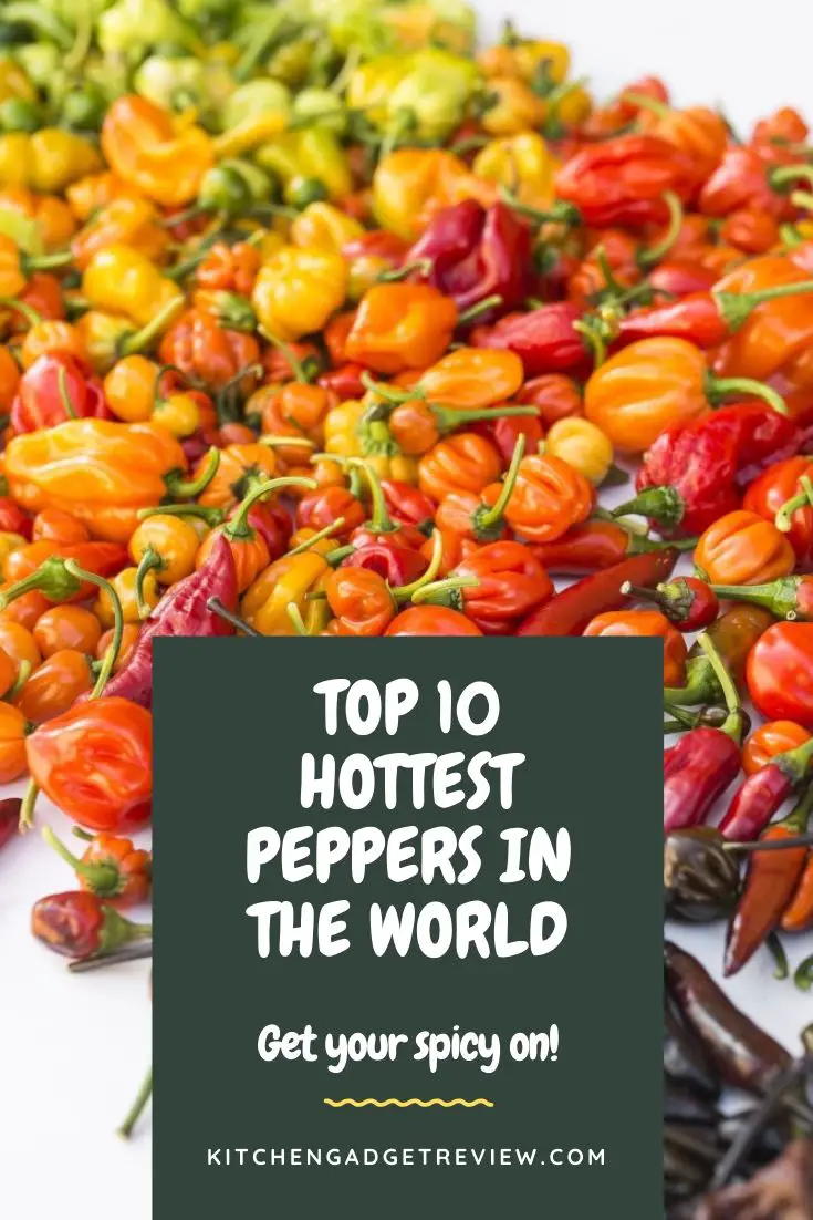 Top 10 Spiciest Peppers in the World Official Hottest Peppers List
