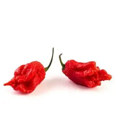 Top 10 Spiciest Peppers In The World Official Hottest Peppers List
