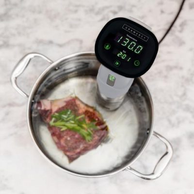 The Best Sous Vide Machine for Home and Professional Use