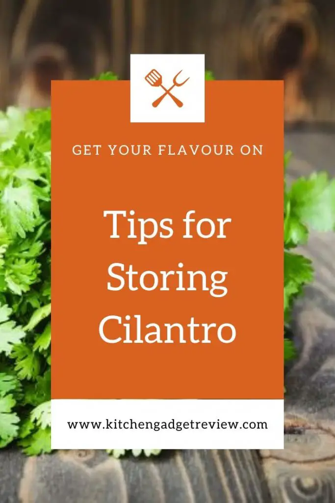 storing-fresh-cilantro