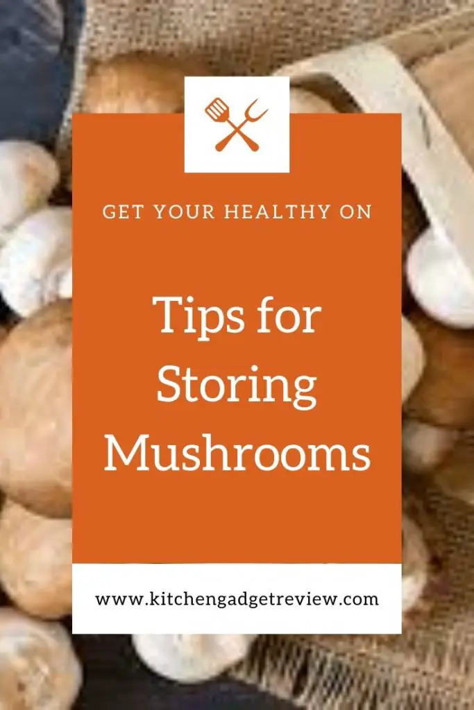 storing-mushrooms-long-term