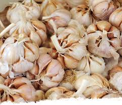 how-to-store-garlic