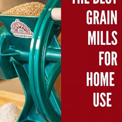 Grain Mill: Top 7 Picks for Countertop Home Grain Grinders